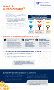 Buprenorphine infographic preview image