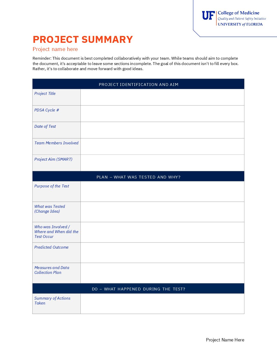 Preview of Project Summary Template